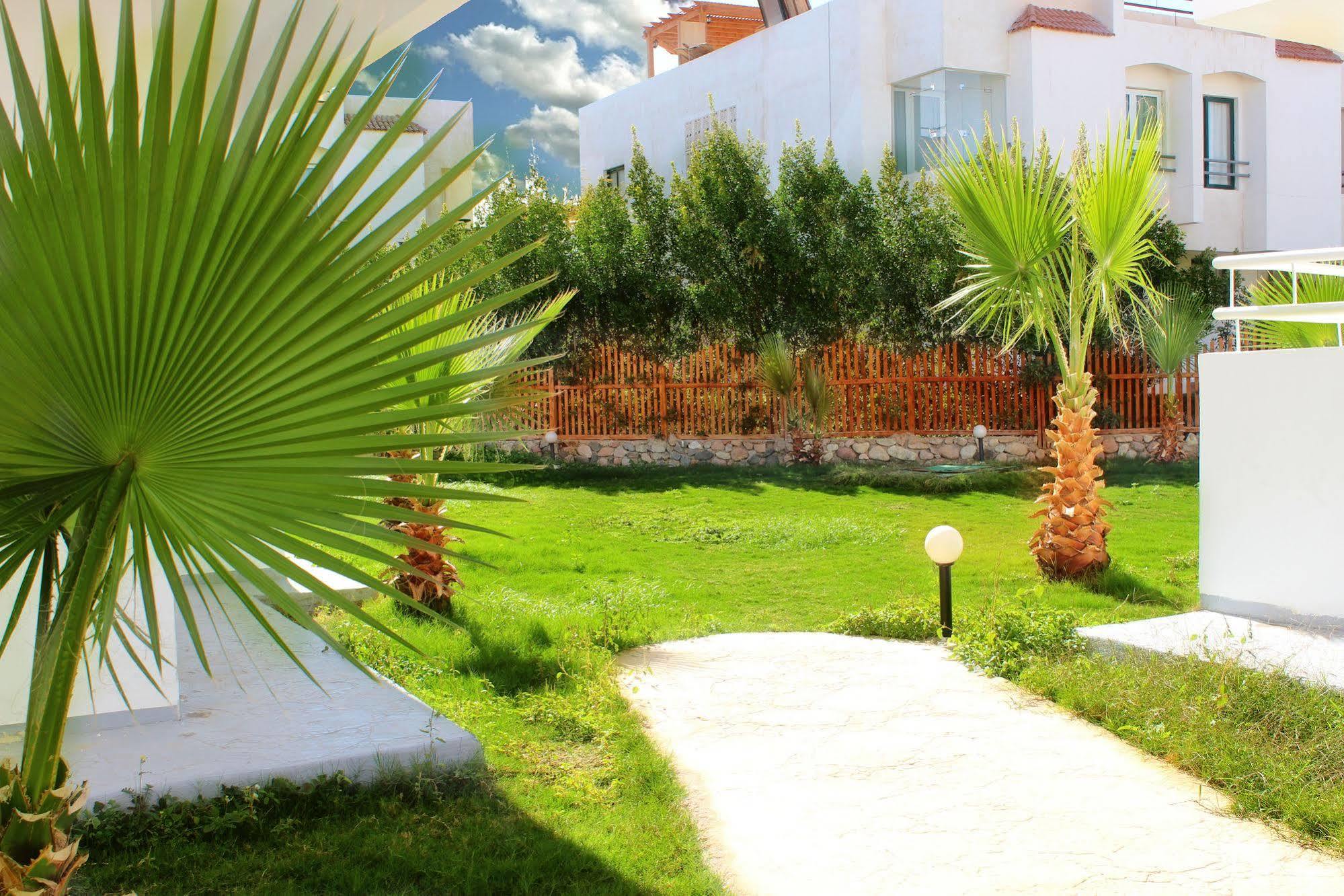 Viking Club Hotel Sharm El Sheikh Bagian luar foto